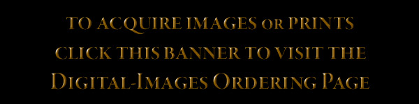 Contact_Info